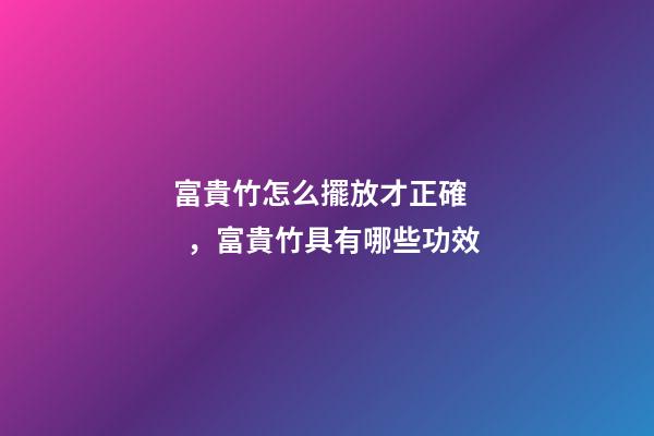富貴竹怎么擺放才正確，富貴竹具有哪些功效